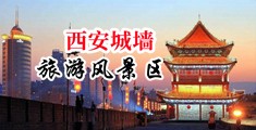 黑人鸡巴插逼里视频中国陕西-西安城墙旅游风景区