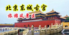 肏小姑娘的屄中国北京-东城古宫旅游风景区